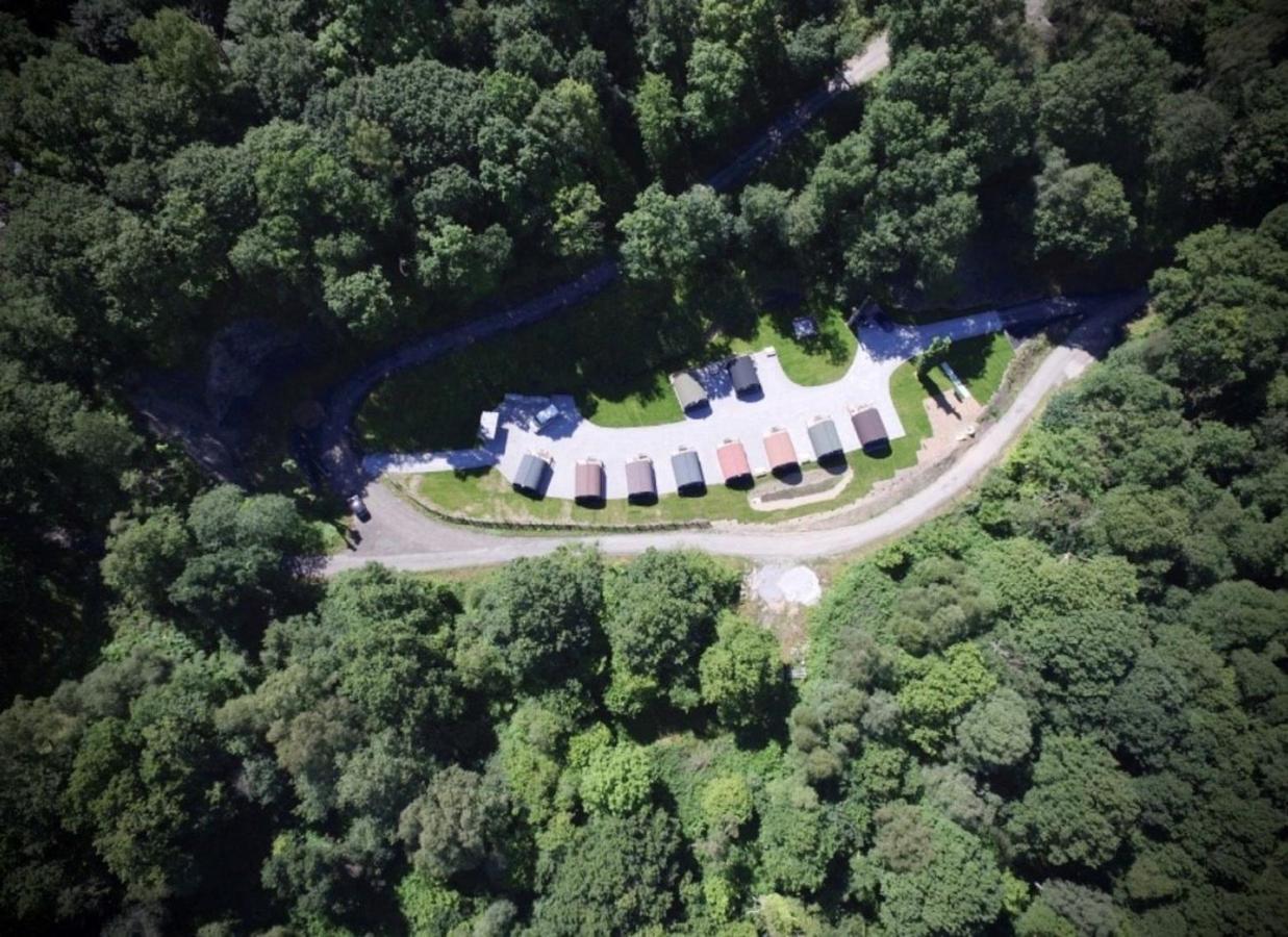 Woodland Pod 10 Pet Friendly Villa Neath Eksteriør billede
